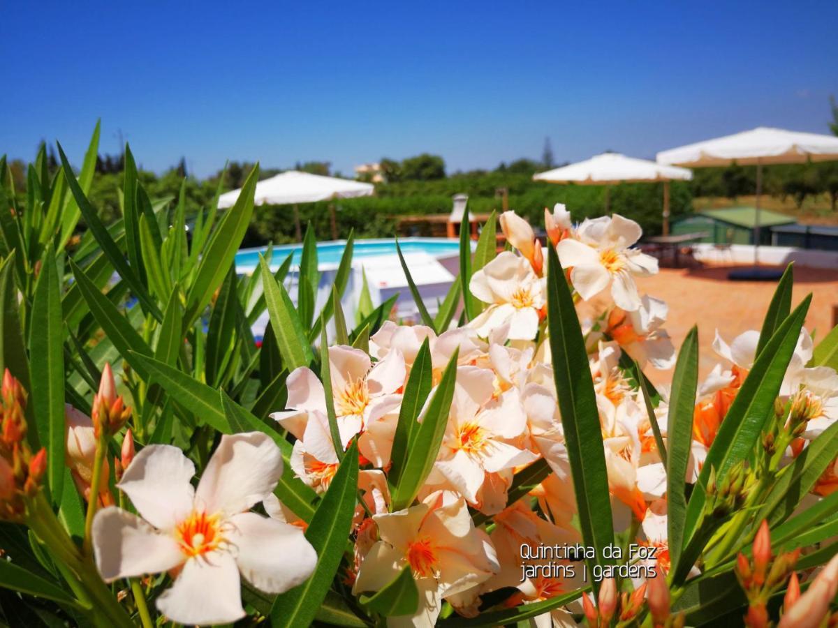 Quintinha Da Foz Guest House Sao Pedro  外观 照片